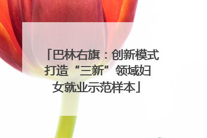 巴林右旗：创新模式 打造“三新”领域妇女就业示范样本