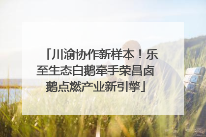 川渝协作新样本！乐至生态白鹅牵手荣昌卤鹅点燃产业新引擎