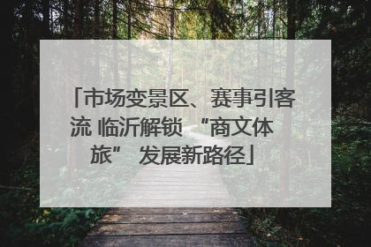 市场变景区、赛事引客流 临沂解锁 “商文体旅” 发展新路径