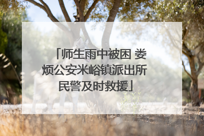 师生雨中被困 娄烦公安米峪镇派出所民警及时救援