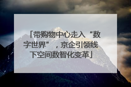 带购物中心走入“数字世界”，京企引领线下空间数智化变革