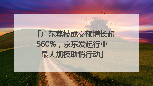 广东荔枝成交额增长超560%，京东发起行业最大规模助销行动