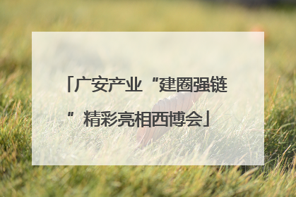 广安产业“建圈强链”精彩亮相西博会