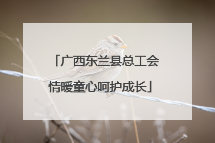 广西东兰县总工会情暖童心呵护成长