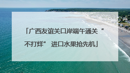 广西友谊关口岸端午通关“不打烊” 进口水果抢先机