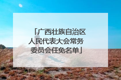 广西壮族自治区人民代表大会常务委员会任免名单