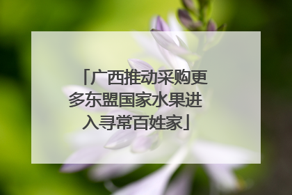广西推动采购更多东盟国家水果进入寻常百姓家
