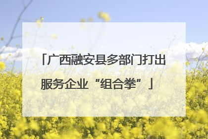 广西融安县多部门打出服务企业“组合拳”