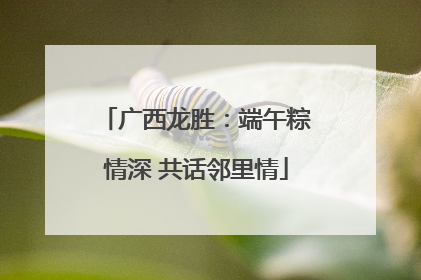 广西龙胜：端午粽情深 共话邻里情