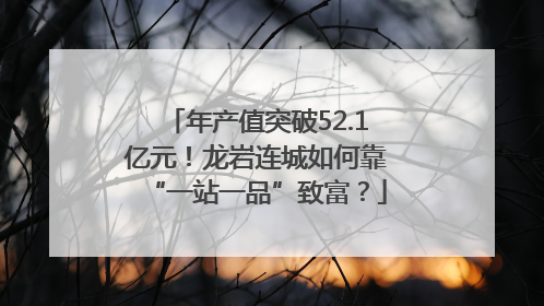 年产值突破52.1亿元！龙岩连城如何靠“一站一品”致富？