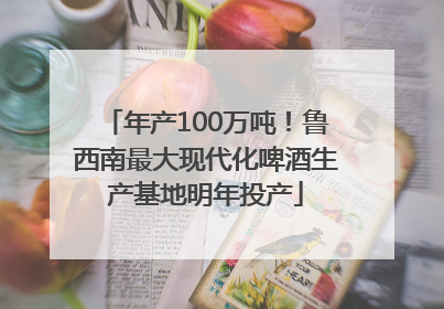 年产100万吨！鲁西南最大现代化啤酒生产基地明年投产