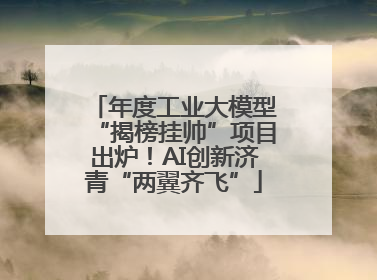年度工业大模型“揭榜挂帅”项目出炉！AI创新济青“两翼齐飞”