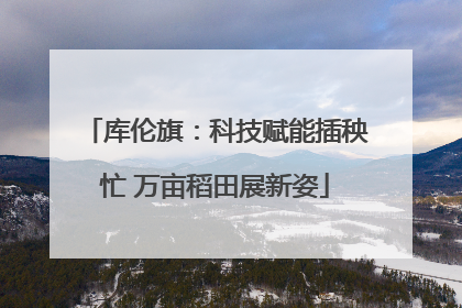 库伦旗：科技赋能插秧忙 万亩稻田展新姿