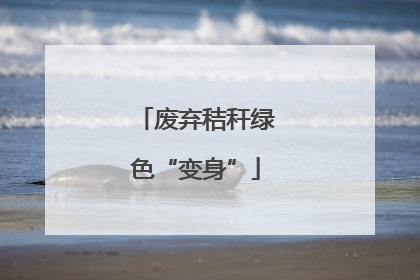 废弃秸秆绿色“变身”