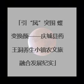 引“凤”突围 蝶变换颜——庆城县药王洞养生小镇农文旅融合发展纪实