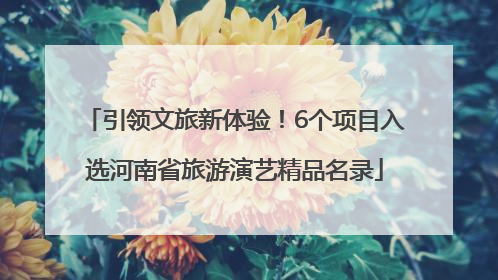 引领文旅新体验！6个项目入选河南省旅游演艺精品名录