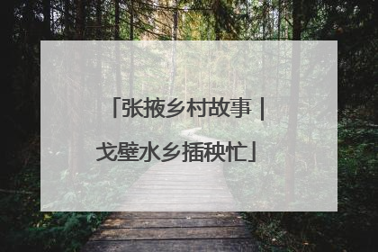 张掖乡村故事｜戈壁水乡插秧忙