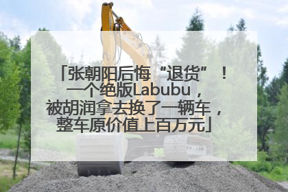 张朝阳后悔“退货”！一个绝版Labubu，被胡润拿去换了一辆车，整车原价值上百万元