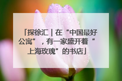 探徐汇｜在“中国最好公寓”，有一家盛开着“上海玫瑰”的书店
