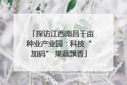 探访江西南昌千亩种业产业园：科技“加码” 果蔬飘香