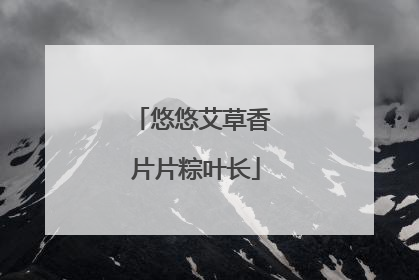 悠悠艾草香 片片粽叶长