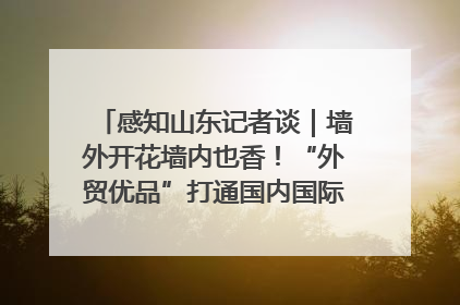 感知山东记者谈｜墙外开花墙内也香！“外贸优品”打通国内国际市场“旋转门”
