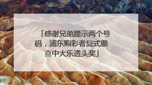 感谢兄弟提示两个号码，浦东购彩者复式票喜中大乐透头奖
