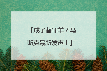 成了替罪羊？马斯克最新发声！