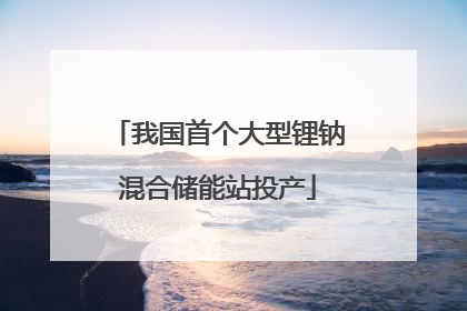 我国首个大型锂钠混合储能站投产