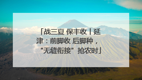 战三夏 保丰收丨延津：前脚收 后脚种，“无缝衔接”抢农时