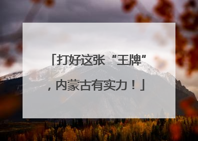 打好这张“王牌”，内蒙古有实力！