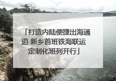 打造内陆便捷出海通道 新乡首班铁海联运定制化班列开行