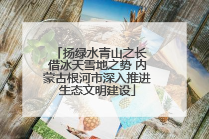 扬绿水青山之长 借冰天雪地之势 内蒙古根河市深入推进生态文明建设