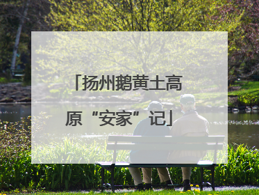 扬州鹅黄土高原“安家”记