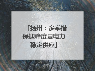 扬州：多举措保迎峰度夏电力稳定供应