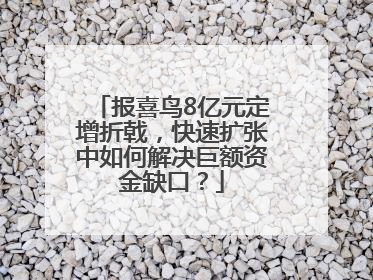 报喜鸟8亿元定增折戟，快速扩张中如何解决巨额资金缺口？