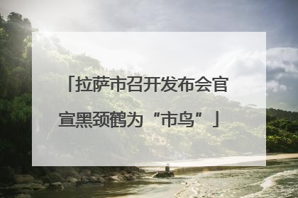 拉萨市召开发布会官宣黑颈鹤为“市鸟”