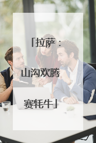 拉萨：山沟欢腾赛牦牛
