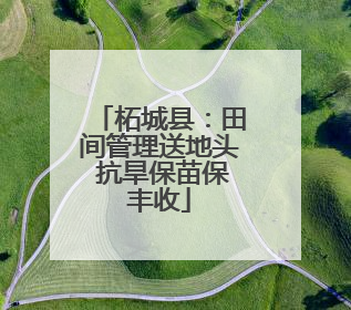 柘城县：田间管理送地头 抗旱保苗保丰收