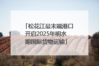 松花江最末端港口开启2025年明水期国际货物运输