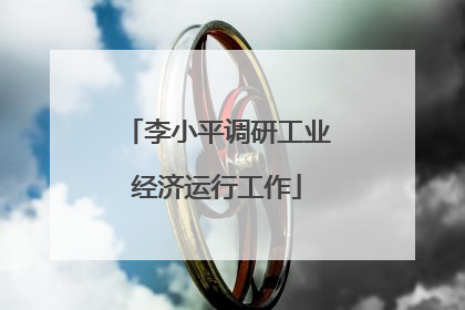 李小平调研工业经济运行工作