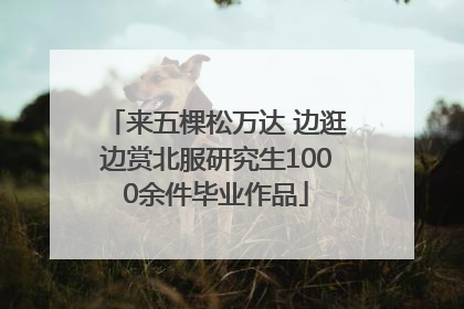 来五棵松万达 边逛边赏北服研究生1000余件毕业作品