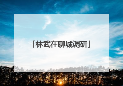 林武在聊城调研