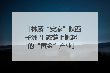 林麝“安家”陕西子洲 生态链上崛起的“黄金”产业