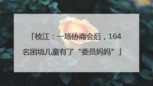 枝江：一场协商会后，164名困境儿童有了“委员妈妈”