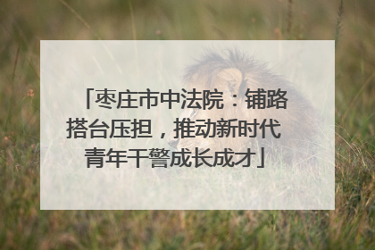 枣庄市中法院：铺路搭台压担，推动新时代青年干警成长成才
