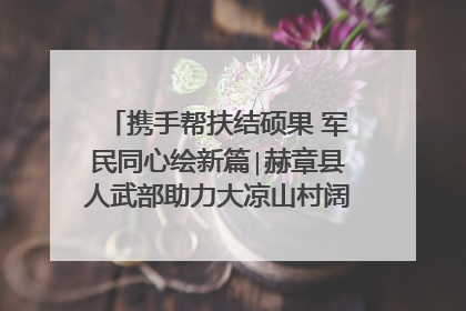 携手帮扶结硕果 军民同心绘新篇∣赫章县人武部助力大凉山村阔步乡村振兴路