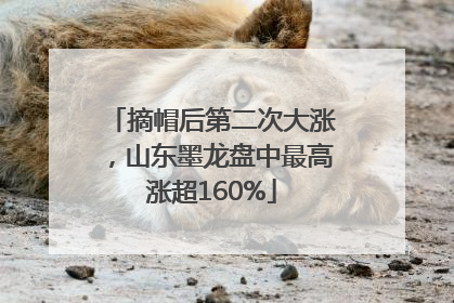 摘帽后第二次大涨，山东墨龙盘中最高涨超160%