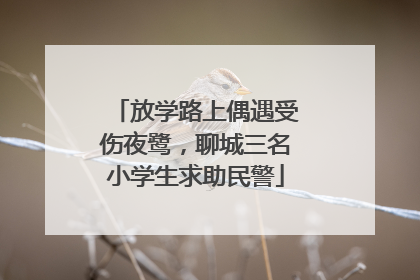 放学路上偶遇受伤夜鹭，聊城三名小学生求助民警