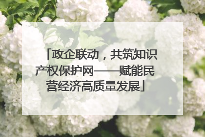 政企联动，共筑知识产权保护网——赋能民营经济高质量发展